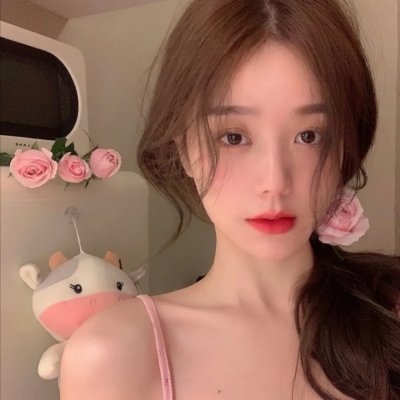 翱翔于天际的夜鹰